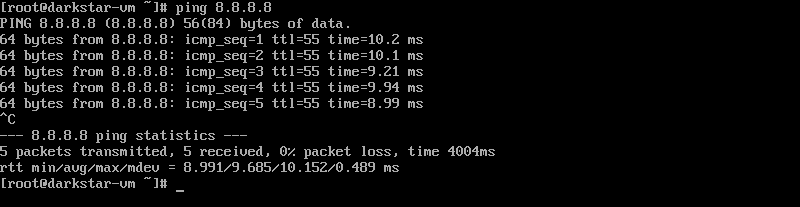 Ping Google DNS